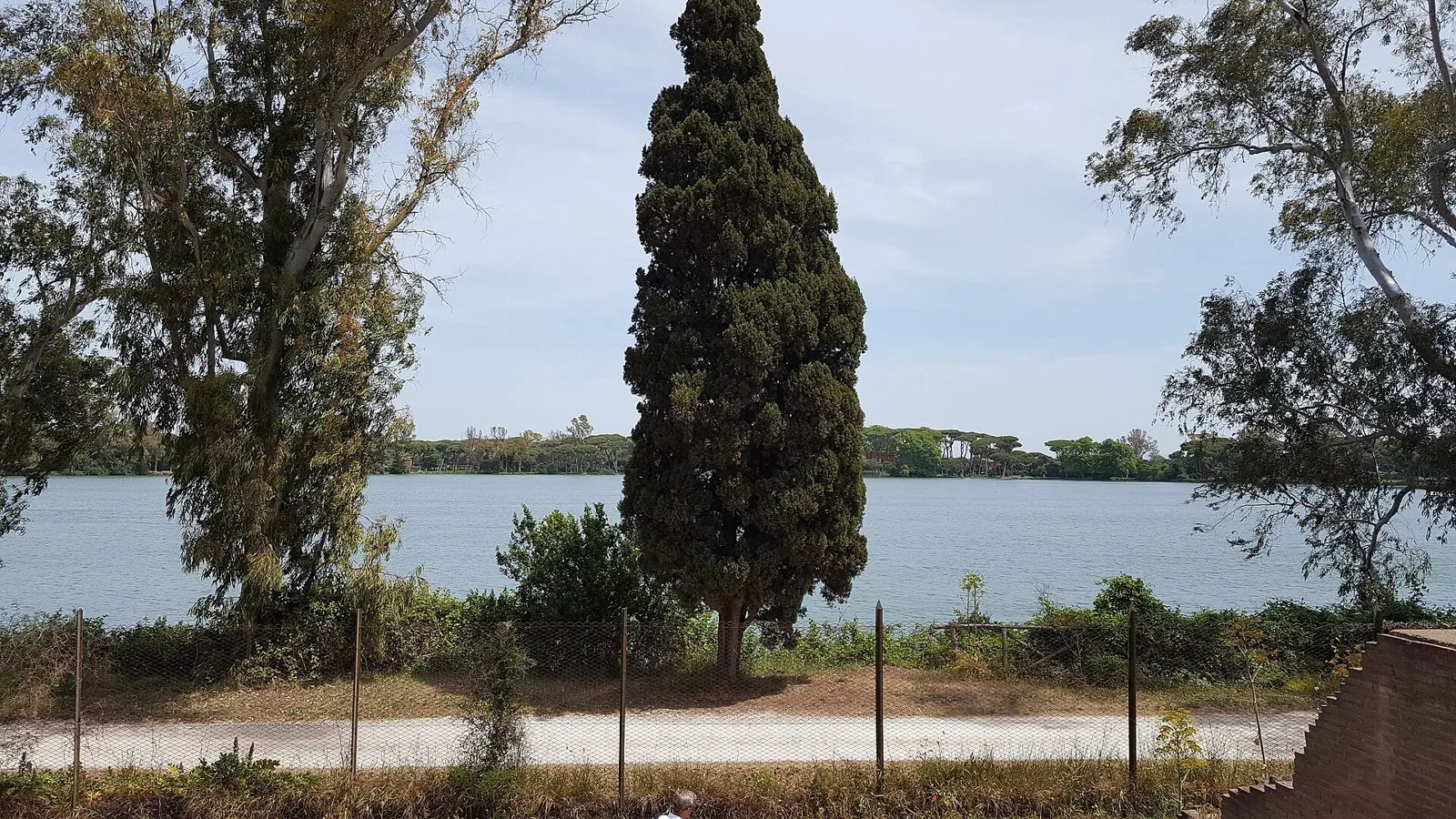 Lo specchio d'acqua del bacino esagonale del porto di Traiano circondato da pini ed eucalipti